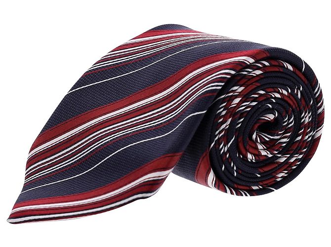 Autre Marque Ermenegildo Zegna Striped Pattern Necktie in Multicolor Silk Python print
