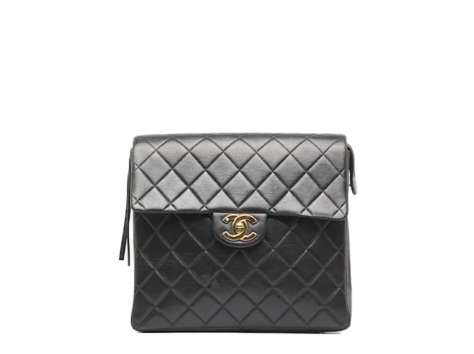 Chanel Classic Flap Backpack Black Leather Pony-style calfskin ref