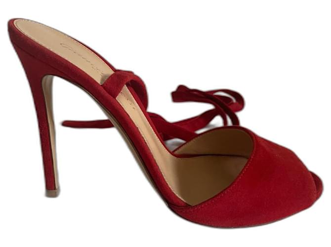 Gianvito Rossi Talons Suede Rouge  ref.959591