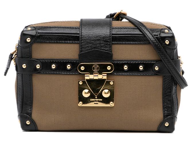 Louis Vuitton Marrón Petite Malle Soft MM Castaño