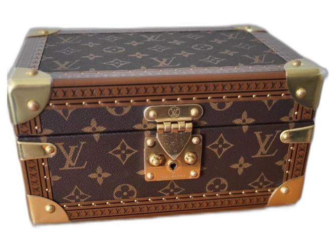 Louis Vuitton Caixa de tesouro 24 Couro Marrom