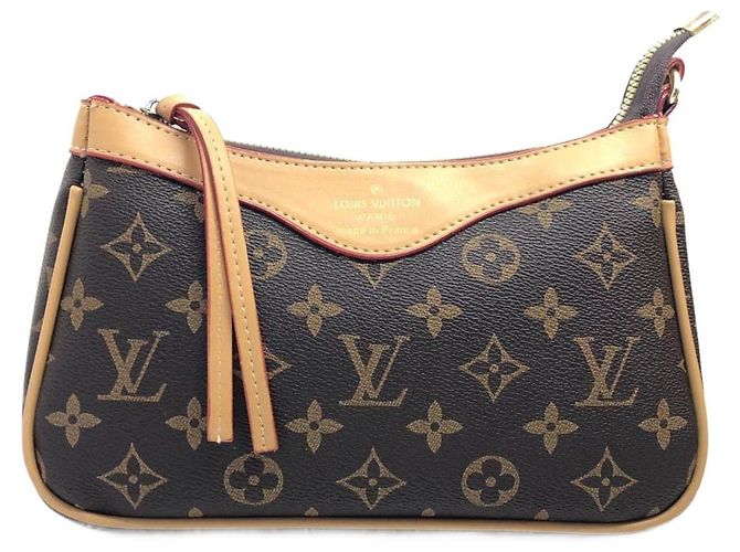 Pallas Bolso Louis Vuitton de cuero marrón Castaño