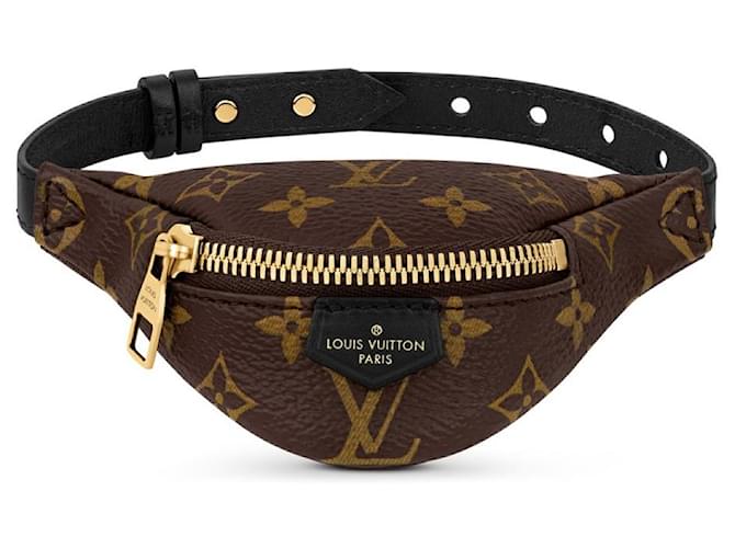 Louis Vuitton LV Party bumbag bracelet Brown Cloth  ref.971204