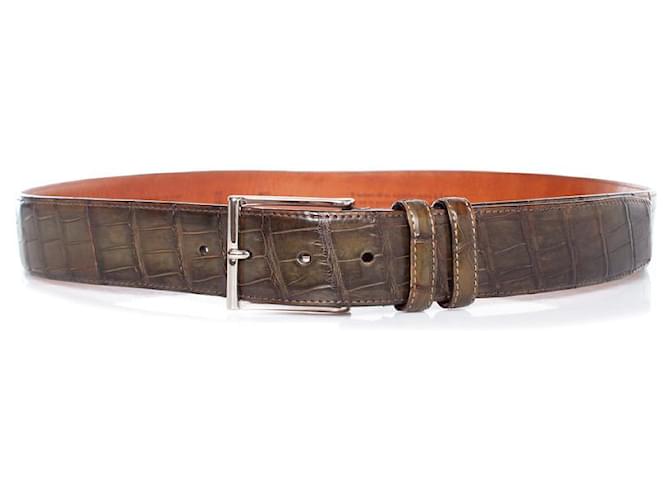 Santoni, Alligator leather belt in olive green  ref.1002343