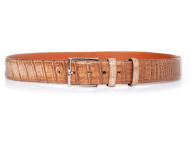 Santoni, Alligator leather belt in brown  ref.1002349