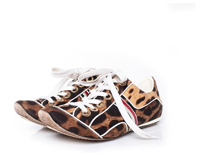 Dolce & Gabbana, baskets léopard Multicolore