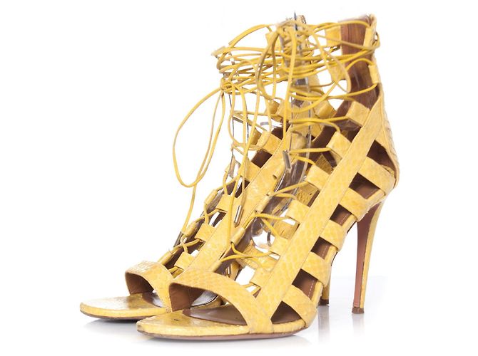 Aquazzura Aquazurra, Sandália com cadarço em couro python amarelo.