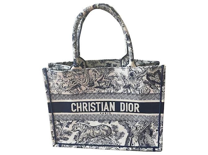 Dior Authenticated Book Tote Handbag