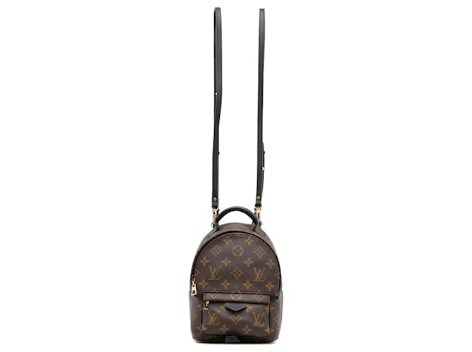 Louis Vuitton Palm Springs LV backpack new Brown Leather ref