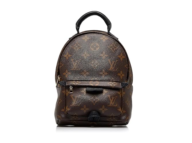 Louis Vuitton Monogram Canvas Palm Springs Mini Backpack Bag