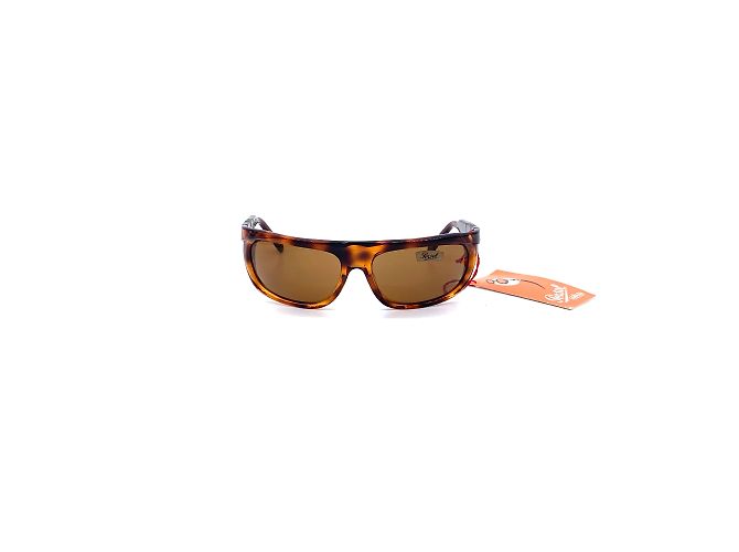 Persol Acetate Sunglasses Brown