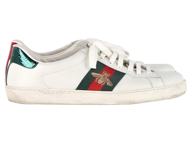 Gucci Embroidered Bee Ace Sneakers in White Leather  ref.1014574