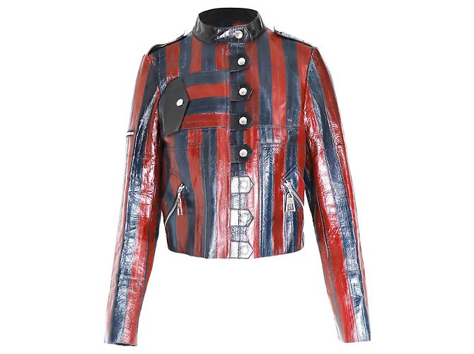 Louis Vuitton Striped Jacket in Multicolor Leather Python print