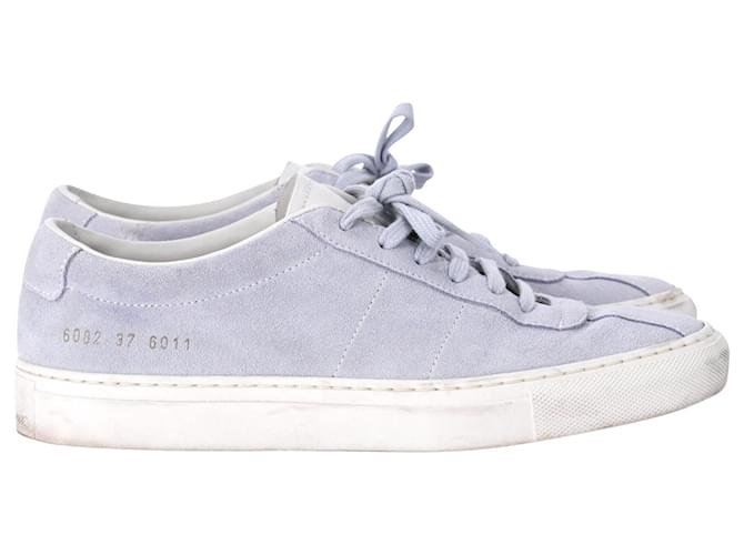 Autre Marque Common Projects Summer Edition Sneakers in Baby Blue Suede Light blue  ref.1018809