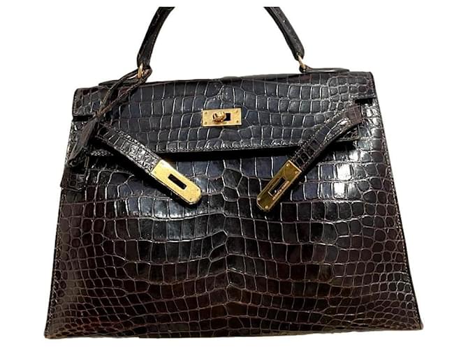 Hermès Handbags Dark brown Exotic leather  ref.1019036