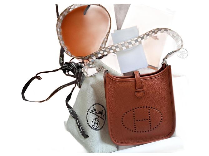 Hermès Evelyne 16 Mini Amazone Rame Pelle