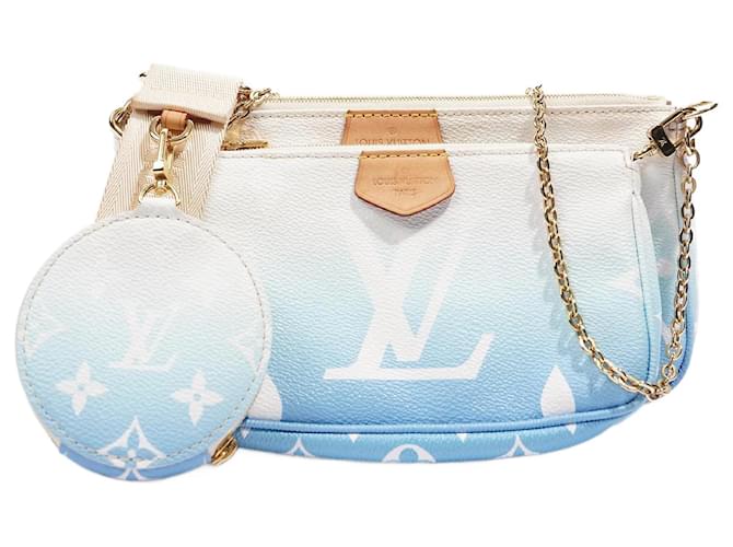 Louis Vuitton Multi-Pochette Accessories Bag in 2023  Bags, Bag  accessories, Louis vuitton multi pochette