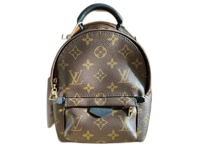 Louis Vuitton Palms spring mini backpack in 2023  Palm springs mini  backpack, Louis vuitton, Louis vuitton palm springs mini