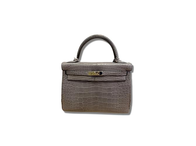 Hermès HERMES  Handbags T.  Exotic leathers Grey  ref.1052709