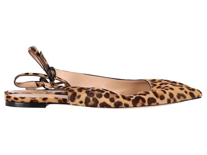 Gianvito Rossi Anna Leopard-Print Slingback Flats in Brown Calf