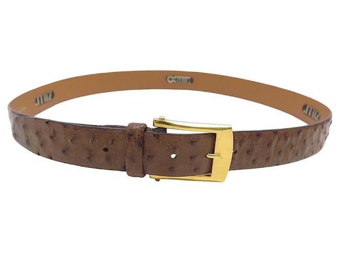 ZILLI BELT IN OSTRICH LEATHER SIZE 95 BROWN BROWN LEATHER OSTRICH  ref.1070794