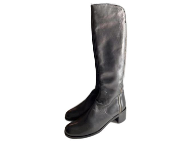 Studio Pollini Boots Black