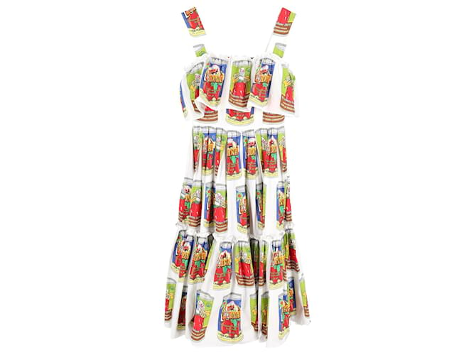 Dolce & Gabbana Kleid mit „Tomato Can“-Print aus mehrfarbiger Baumwolle Mehrfarben  ref.1083227