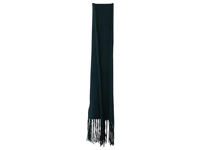 Ami Paris Fringed Scarf in Green Alpaca Fiber Wool  ref.1085953