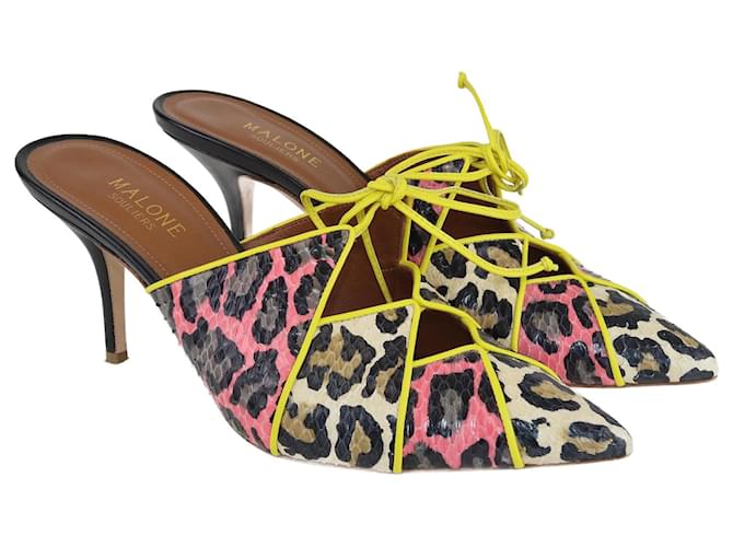 Autre Marque Multicolor Maureen Pointed Toe Mules Multiple colors Exotic leather  ref.1086968
