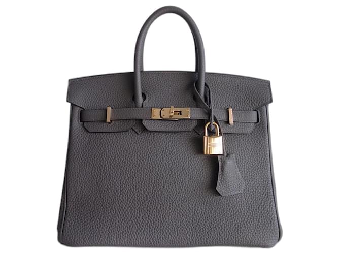 Hermès HERMES BIRKIN BAG 25 tin Grey Leather  ref.1107223
