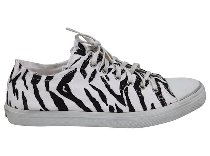 Saint Laurent Bedford Zebra Print Sneakers In Animal Print Canvas Cloth  ref.1114051