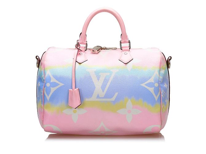 Speedy Sacs à main LOUIS VUITTON Toile Marron