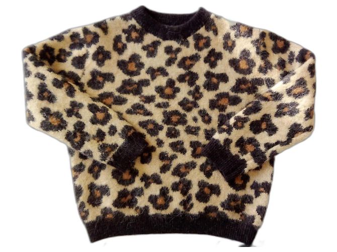 Zara animal