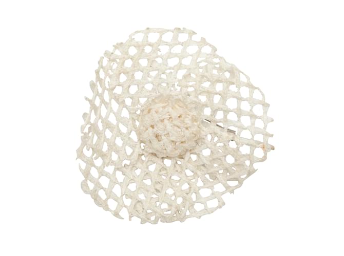 White Chanel Mesh Camellia Lapel Pin Cloth  ref.1134031