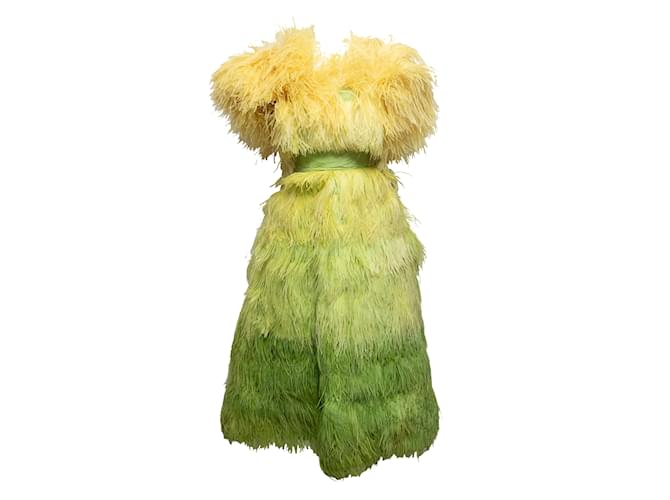 Vintage Citron Vert & Jaune Pierre Cardin 60s Plume Haute Couture Robe Taille US XS Synthétique  ref.1150539