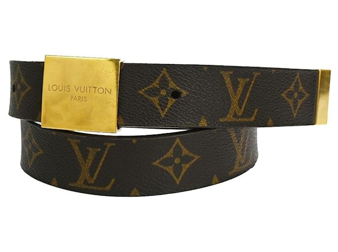 Louis Vuitton Marrom Banhado a ouro  ref.1166358