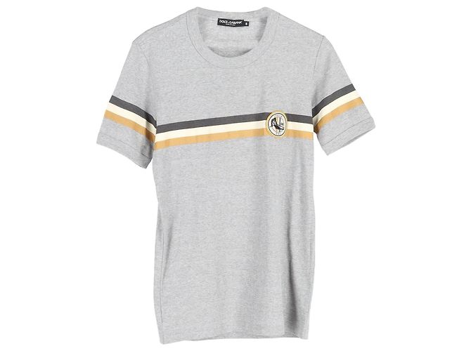 Camiseta Dolce & Gabbana Ski Badge em algodão cinza Marrom