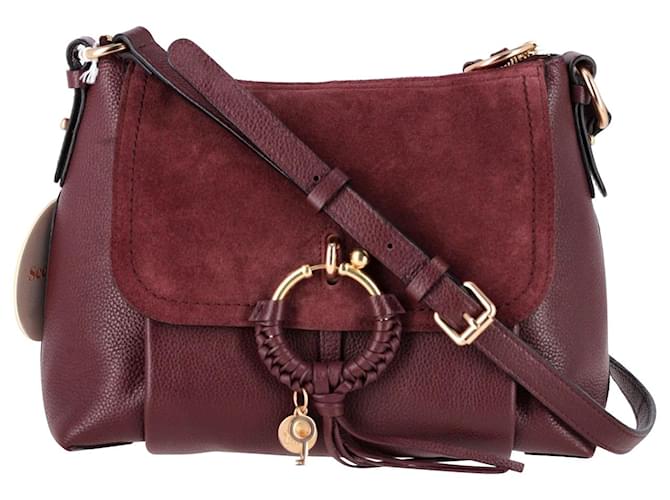 Chloé See by Chloe Joan Small Crossbody Bag in Burgundy Leather - Main Image