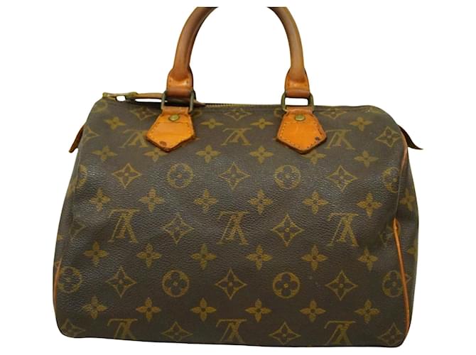 Louis Vuitton Speedy 25 Brown Cloth  ref.1188592