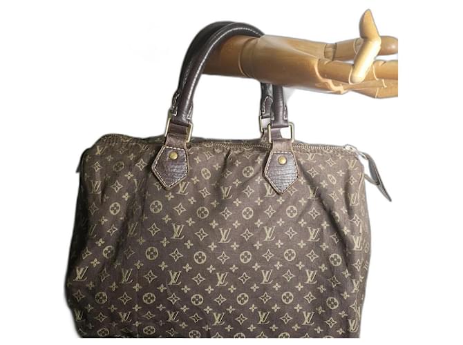 Speedy Louis Vuitton Handbags Multiple colors Cloth  ref.1191916