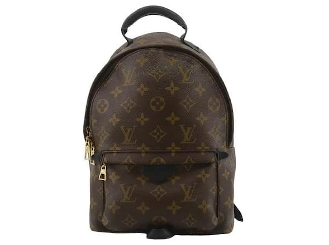 Louis Vuitton Palm Springs Brown Leather  ref.1197161