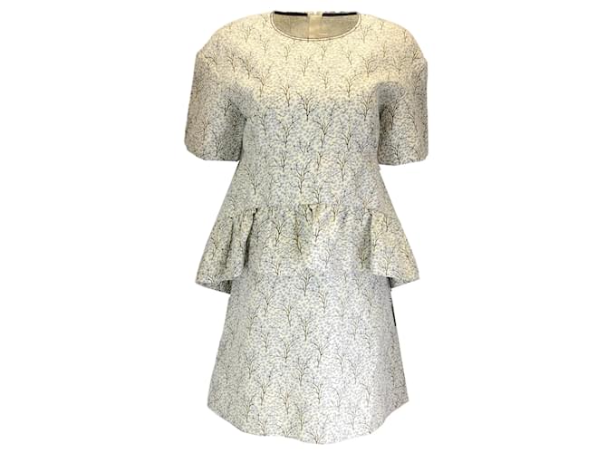 Autre Marque Marni Ivory / Light blue / Black Printed Ruffled Short Sleeved Cotton and Silk Dress Multiple colors  ref.1197398
