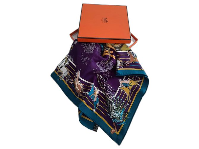 Hermès Hermes "Pani La Shar Pawnee" Multicolore