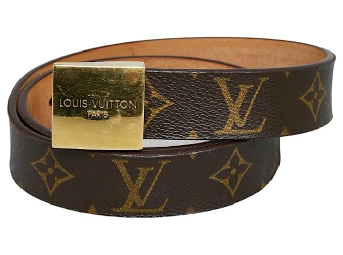 Louis Vuitton Toile Marron  ref.1202410