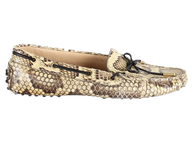 Tod's Snake Loafers Leather  ref.1207186