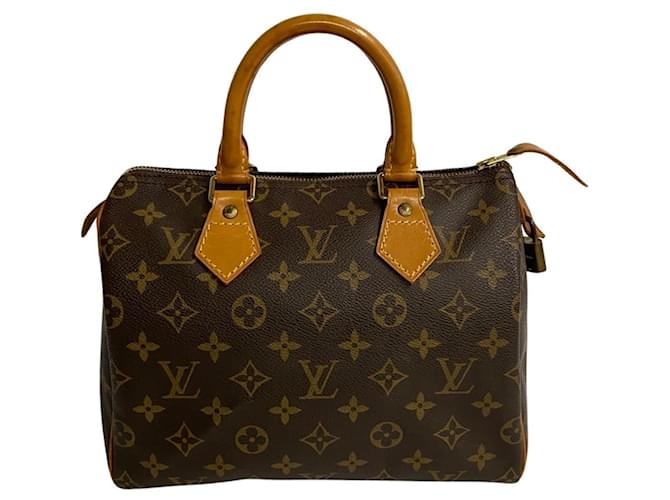 Louis Vuitton Speedy 25 Brown Cloth  ref.1210081