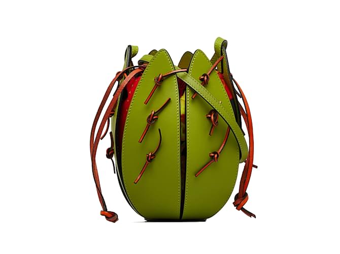 Green Loewe Paula's Ibiza Leather Cactus Bucket Bag  ref.1213146