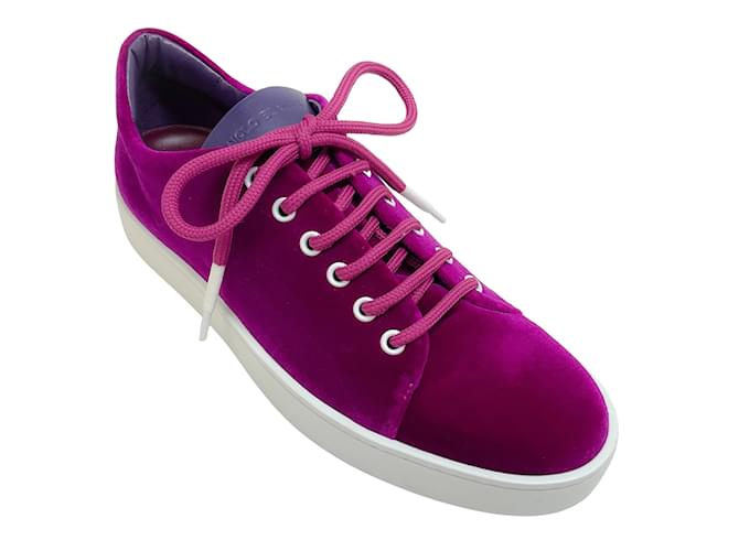 Manolo Blahnik Bright Purple Velvet Samanada Sneakers  ref.1216307