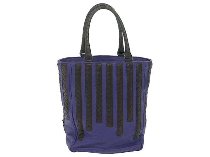 Bottega Veneta Purple Leather  ref.1224709