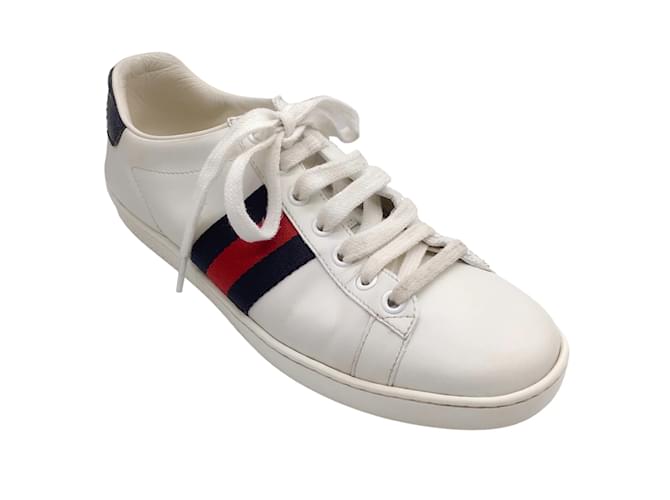 Gucci White / Red / Navy Blue Web Stripe Leather Ace Sneakers  ref.1233396